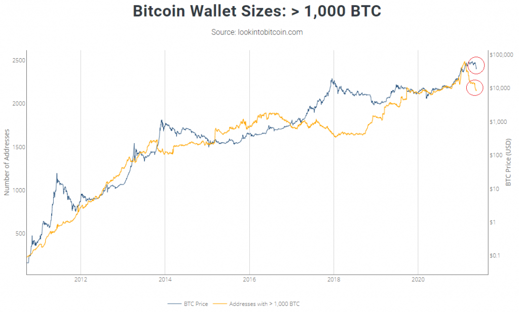 Ilość adresów powyżej 1000 Bitcoina do ceny. Źródło www.lookintobitcoin.com