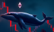 Niebieski wieloryb na tle czerwonych świec giełdowych z logo Ethereum, symbolizujący zakupy „whales” podczas rynkowego krachu.